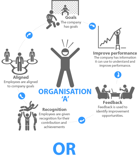 Performance management infographic